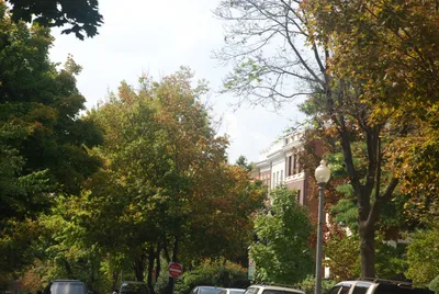 DSC_10006 (Large).JPG